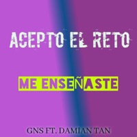 Me Enseñaste (feat. GNS) - Single - Damian tan