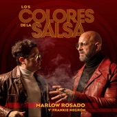 Los Colores De La Salsa artwork