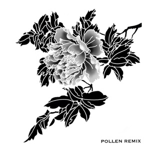 Pollen (Remix) - EP