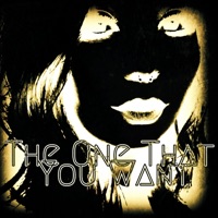 The One That You Want (feat. Yishai) - Single - LilTooSad