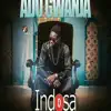 Ado Gwanja - Indosa