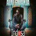 INDOSA