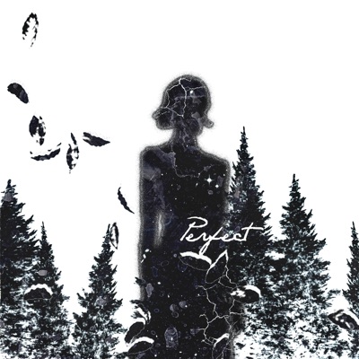 Perfect - Single