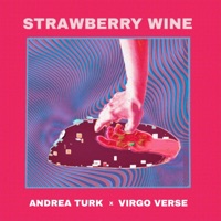 Strawberry Wine - Single - Andrea Turk & Virgo Verse