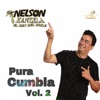 Pura Cumbia Vol.2