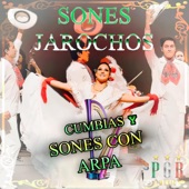 Sones Jarochos - María Chuchena (Version Arpa)