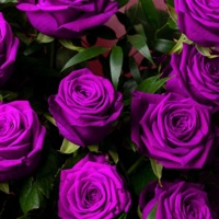 Rosae (feat. Grosz & Gionathan) [Home Edit] - Single - Martin Basile