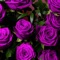 Rosae (feat. Grosz & Gionathan) [Home Edit] - Martin Basile lyrics