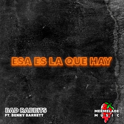¡Esa Es La Que Hay! (feat. Benny Barrett) - Single