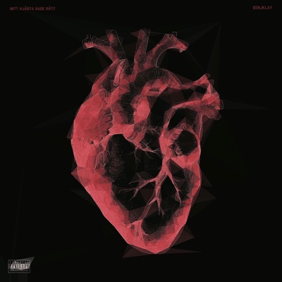 Mitt Hjärta Hade Rätt - Single