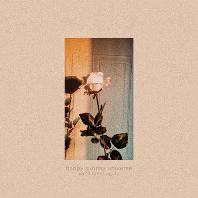 We'll Meet Again - Single
