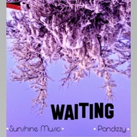 Waiting (feat. Pandizzy) - Single - Sunshine Music