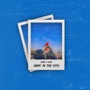 Vibin' In the City (feat. Anaaz) - Single