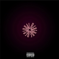 Crown - Single - Cole365