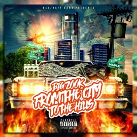 Go (feat. Blockstar Dee) Big Zook