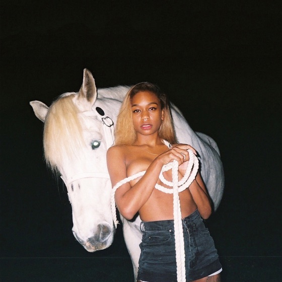 Cover artwork for Big Boi (feat. Tommy Genesis)