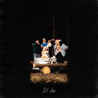16 år - Single