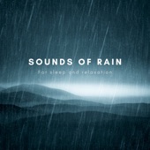 Sounds of Rain for Sleep and Relaxation artwork