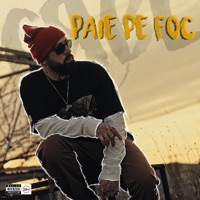 Pun Paie Pe Foc - Single - CRBL