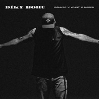 Díky bohu (feat. WHNT & Marpo) - Single - Ironkap