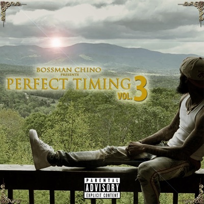 Perfect Timing Vol 3