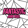 Fantastic - Single