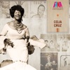 Bamboleo cover art