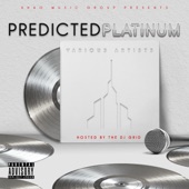 Predicted Platinum artwork
