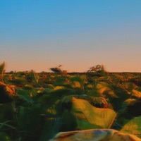 insecure - Single - Mo Riz