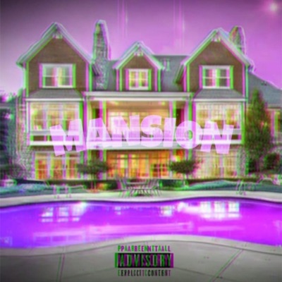 Mansion (feat. VicRichor) - Single