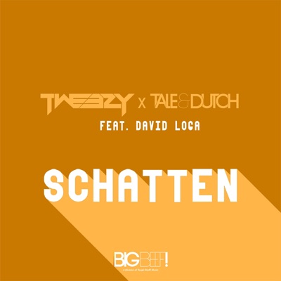 Schatten (feat. David Loga) - Single