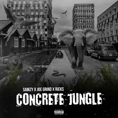Concrete Jungle (feat. Joe Grind & Rieks) - Single