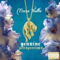 Genuine Perspectives - Moose Truffle