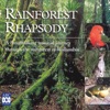 Rainforest Rhapsody, 2001