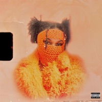 Birkin - Single - Camb