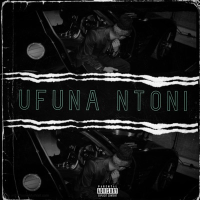 Ufuna Ntoni (feat. Micsy Mohr) - Single