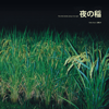 Rice Field Silently Riping In the Night - Reiko Kudo