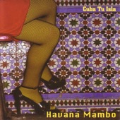 Havana Mambo - Personalidad