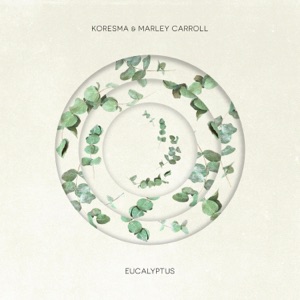Eucalyptus - Single