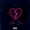 Fake Love - Single
