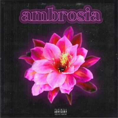 Ambrosia - Single