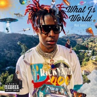 What is World - Mak Sauce