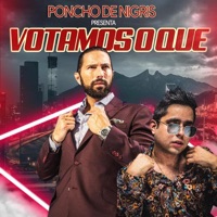 ¿Votamos o Qué? - Single - Poncho De Nigris & Finisho