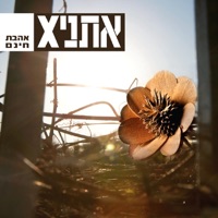 אהבת חינם - Ethnix