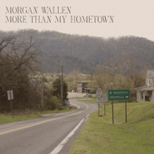 More Than My Hometown - Morgan Wallen Cover Art
