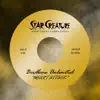 Birdbone Unlimited, Brian Ellis & Tim Tucker - Not Gonna Stop