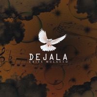 Déjala (Remix) - Single - Criss Mulatto