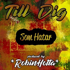 Till Dig Som Hatar Robinholta