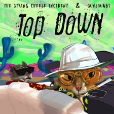 The String Cheese Incident - Top Down