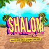 Shalom (feat. Mowty) - Single